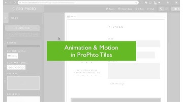 How to use tile animation and hover effects in ProPhoto