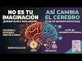 No es tu imaginación, Tu cerebro SÍ CAMBIA CON la Fibromialgia 🥺🧠 #fibromialgia #dolorcronico