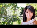 色・ホワイトブレンド/中山美穂 IRO HOWAITOBURENDO/Miho Nakayama