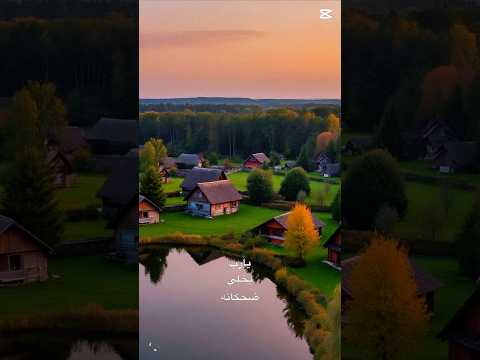 يا رب يخلي ضحكاته  اكسبلور  حالات واتس ترند   فضل شاكر حب