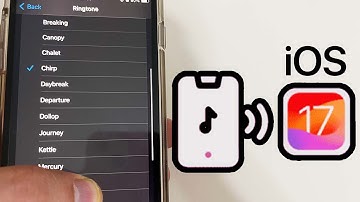 Exploring New iPhone Ringtones (iOS 17) : After 20 Years, New Ringtones Have Been Added by Apple !!