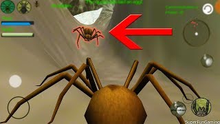 SPIDER NEST SIMULATOR - Awesome Creepy Adventure Explore Learn Wildlife Game screenshot 2