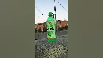 Алоэ Вера