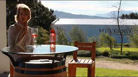 wine.co.za talks to Debbie Hooper from Mount Verno...