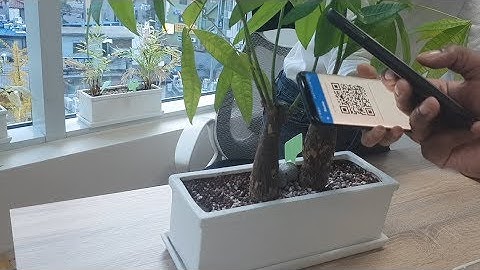 How To Transfer Custom ERC-20 Tokens With Trust Wallet