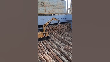 loading logs under hatch coaming by digger machine @logbulker