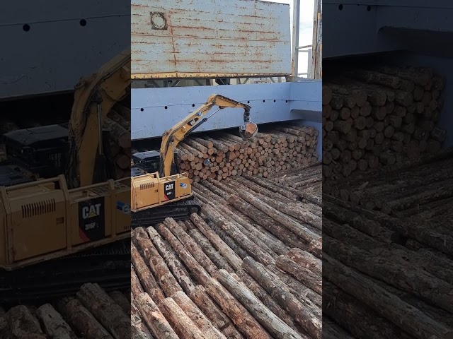 loading logs under hatch coaming by digger machine @logbulker class=