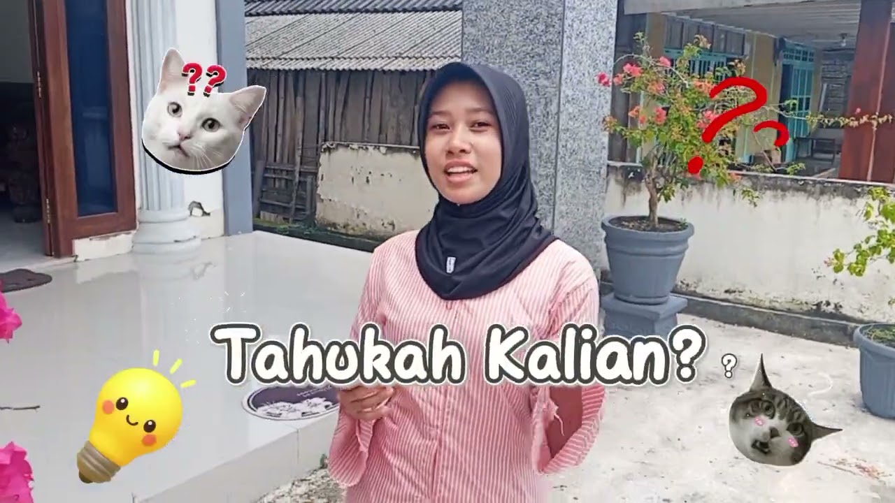 Tugas Short Video Tentang 