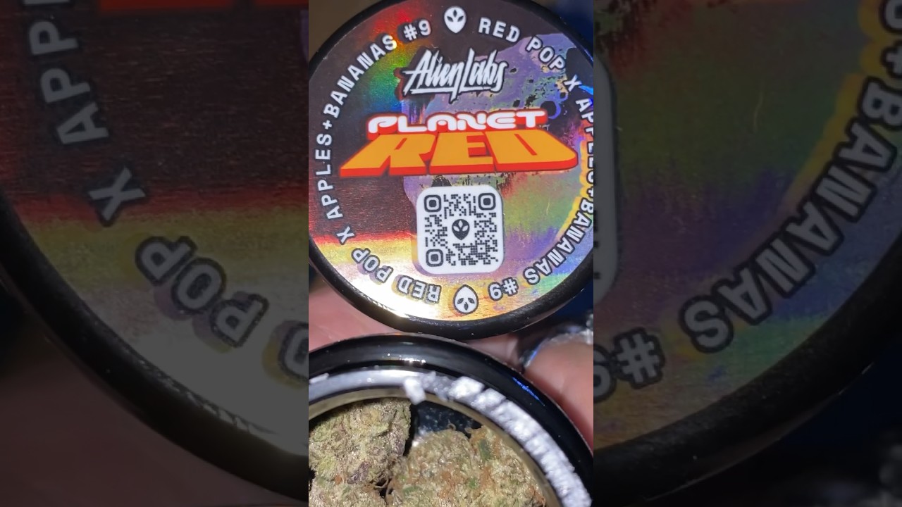 PLANET RED  BY ALIEN LABS 