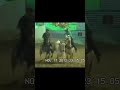 Bruno Silva X Cinderela Víbora #cavalo #vaquejada #resenhavaqueira #shorts #shortsviral #cortes