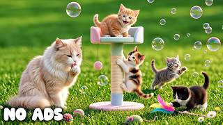 12 HOURS Soft Meow Sleeping Sounds π±π Relaxing Cat Music for Deep Sleep & Anxiety Relief π΄ No ADS