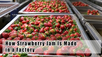 How Strawberry Jam Is Made in a Factory
