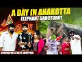 A day in anakotta elephant sanctuary  guruvayur street shopping  gk vlogs