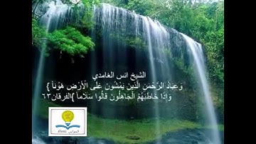 صوت ملائكي القارئ انس الغامدي