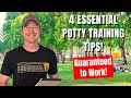 4 Tips To Help You Potty Train Your Puppy