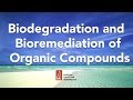 Biodegradation and Bioremediation of Organic Compounds by Lawrence Wackett, PhD