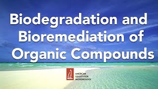 Biodegradation and Bioremediation of Organic Compounds by Lawrence Wackett, PhD