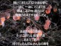 しあわせ尋ね人 唄 谷 龍介 cover 太陽と月