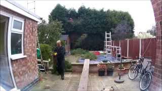 How to cut conifers in 24 seconds
