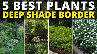 Top 5 Plants for a Deep Shade Garden Border 🍃