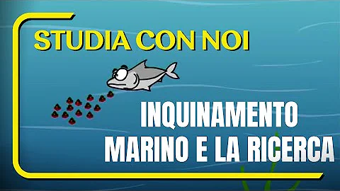 Che cos'è l'inquinamento del mare?