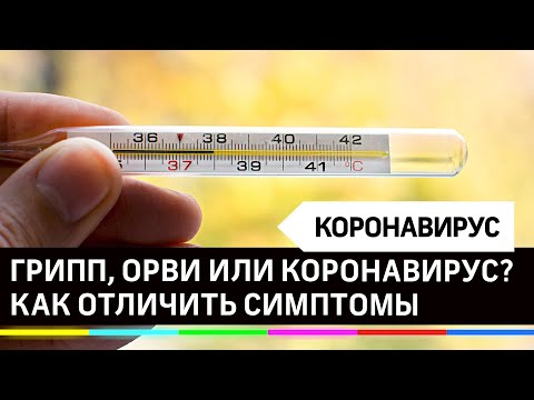 COVID-19, ОРВИ, грипп: как отличить схожие симптомы этих заболеваний