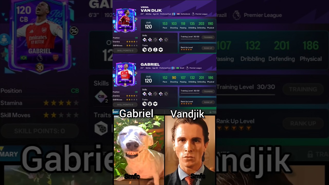 Gabriel vs Vandijk ❤️‍🔥☠️