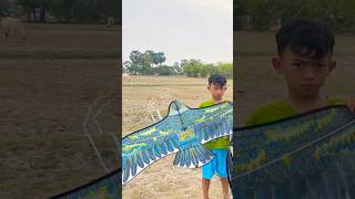 Super fly #kiteruralarea #kiteflyinglover #kitevideo #kitechannel #kitefightingcompetetion