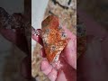 Agate-Jasper Nodules from the Chihuahuan Desert