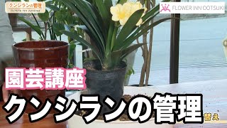 【園芸講座】クンシランの管理　テレビ 「楽しい花辞典」放映中 FLOWER-INN OOTSUKI