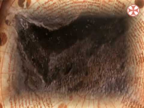 საეკლესიო კალენდარი - 4 ოქტომბერი , 2018 წ.