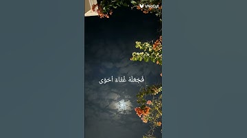 سورة الأعلى  القارئ عبدالرحمن مسعد #راحة_نفسية #القرآن_الكريم