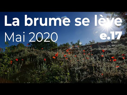 La brume se lève