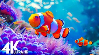 4K Aquarium for Relaxation 🐠 Relaxing Oceanscapes - Sleep Meditation 4K UHD Screensaver