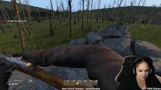 flying bears are the best bears #shorts
