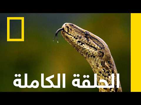 وثائقي - Documentary