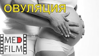 Овуляция, Оплодотворение. Консультант: Академик О.в.волкова © Оvulation, Fertilization