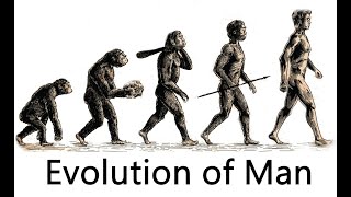 The Evolution of Man (7 million years ago - 50,000 years ago) by HISTORY_DUDE 26,702 views 3 years ago 16 minutes