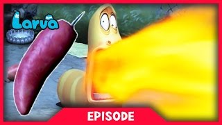 LARVA - HOT CHILLI | Cartoon Movie | Cartoons For Children | Larva Cartoon | LARVA Official