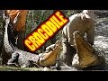CATCHING A GIANT NILE CROCODILE (UNSCRIPTED AND DANGEROUS)