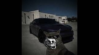 onlyfans is cooked now 😈💀  #memes #cat #funny