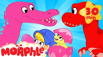 Morphle