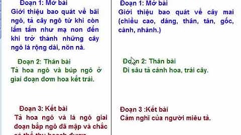 Tập làm văn 4 tuần 21  Bài 42   Cấu tạo bài văn miêu tả cây cối