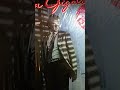 FROM SHELF TO TABLE: AMERICAN GIGOLO ST featuring CALL ME by 'BLONDIE' THANKS FOR WATCHING &amp; SUB ME.