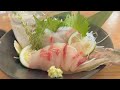 （生鱼系列）拟鲹鱼，黄带拟鲹， シマアジ　Striped jack sashimi