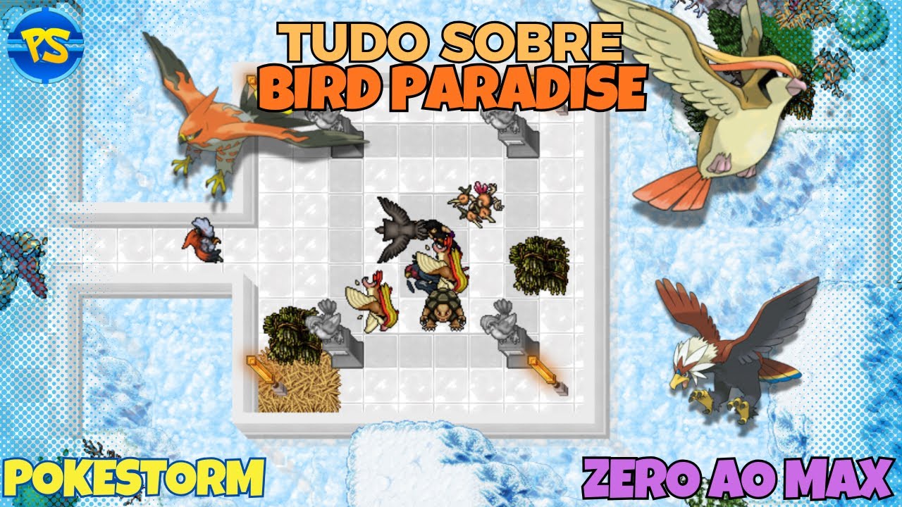 Tudo sobre a Bird Paradise no PokeStorm - Do Zero ao Max PokeStorm Ep. 7