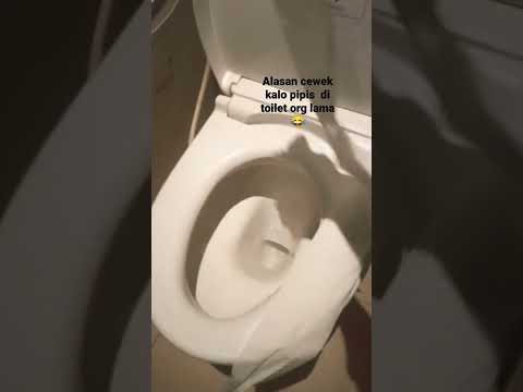 Alasan Cewek Di Toilet Suka Lama