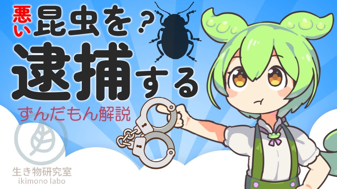【ずんだもん解説】悪い昆虫を逮捕する Arrest and judge evil insects - YouTube