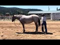 SCRATCHED - Lot #1 Smart Hi Feelin Boon
