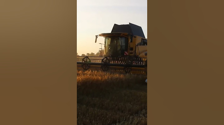 moisson de blé 2025 vidéo complète sur la chaîne #moisson